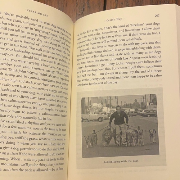 Cesar’s Way- Book - Picture 2 of 4